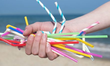 Gerakan Tanpa Sedotan Plastik Di Bali Berhasil Kurangi 40%