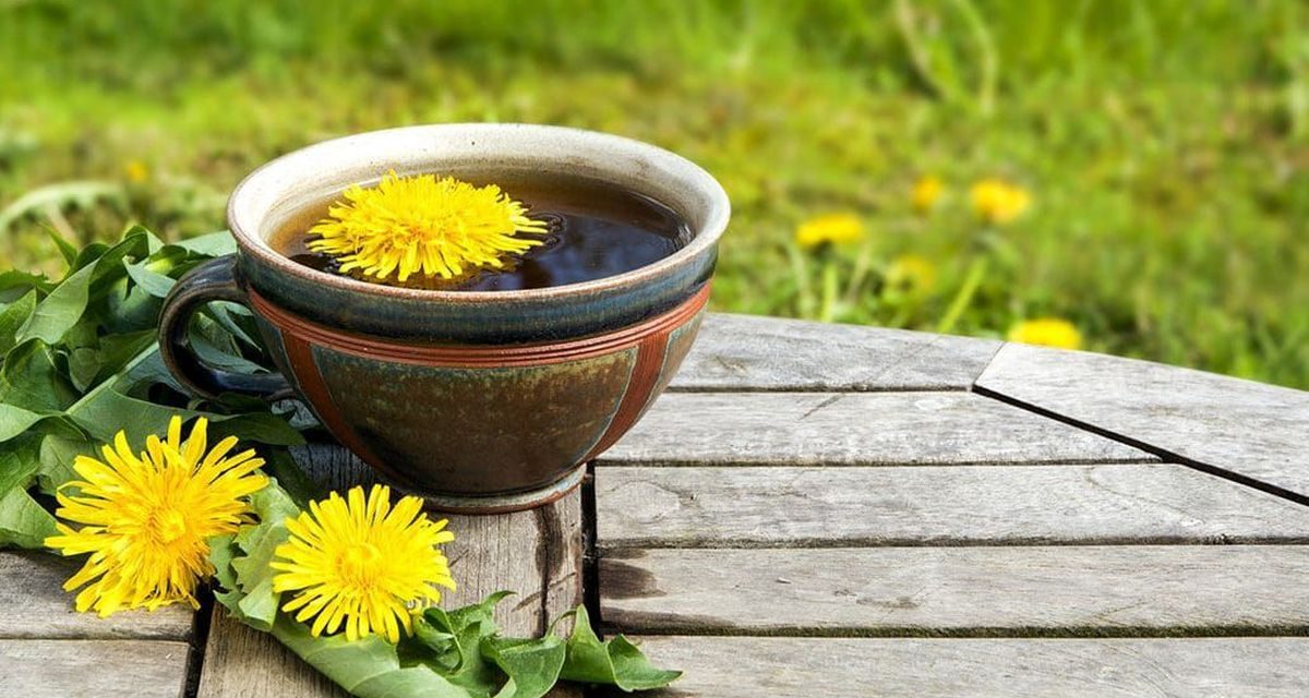 Kopi Akar Dandelion, Alternatif Bebas Kafein Yang Lagi Tren