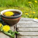Kopi Akar Dandelion, Alternatif Bebas Kafein Yang Lagi Tren