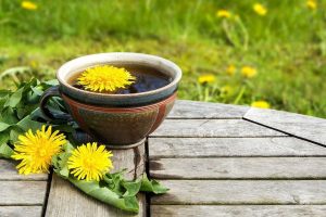 Kopi Akar Dandelion, Alternatif Bebas Kafein Yang Lagi Tren