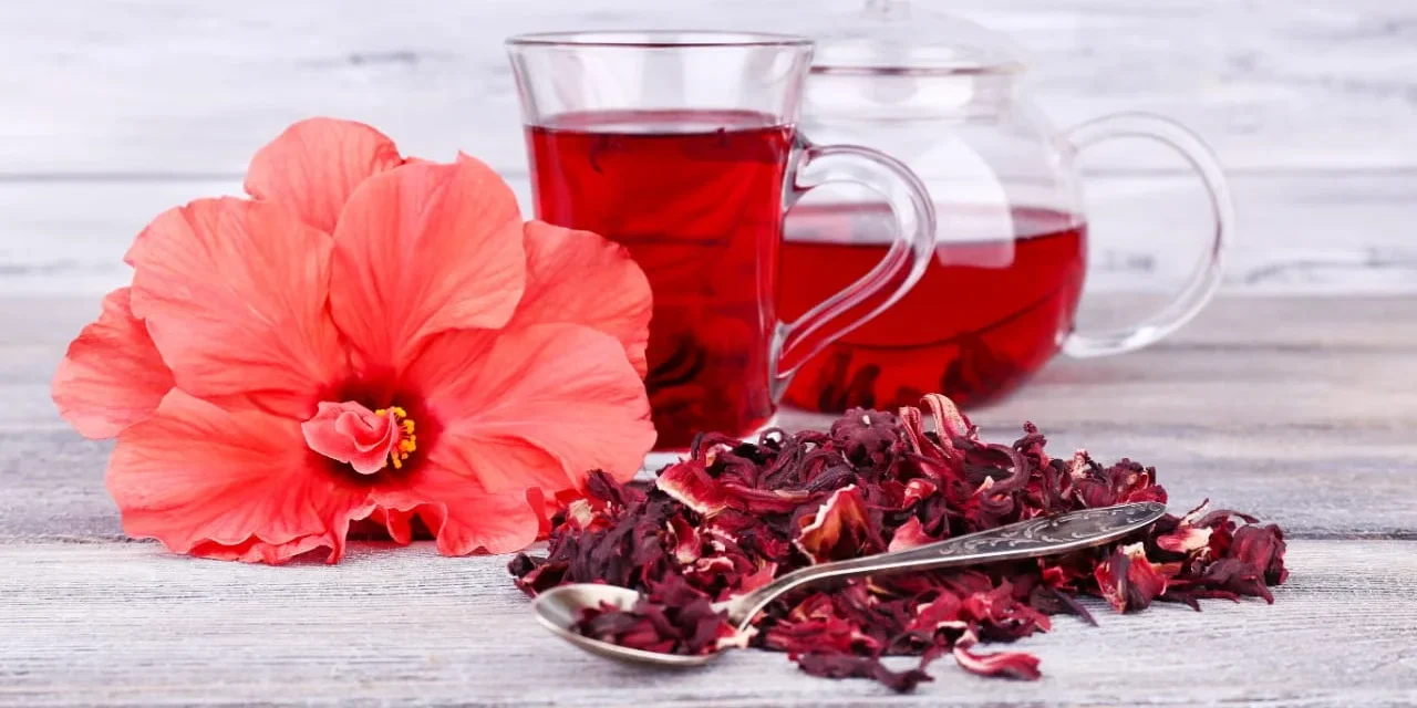 Teh Bunga Hibiscus: Tren Baru Penyeimbang Tekanan Darah