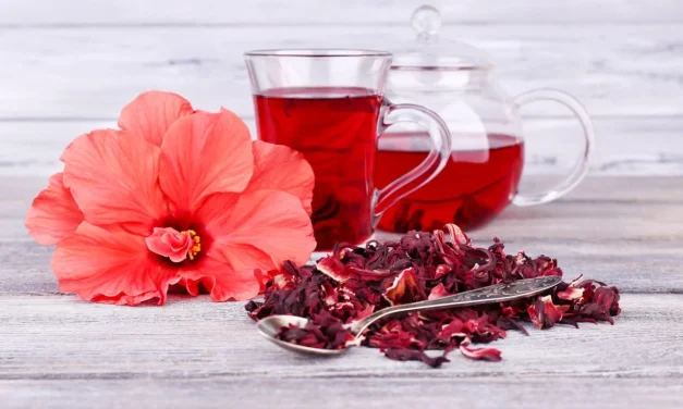 Teh Bunga Hibiscus: Tren Baru Penyeimbang Tekanan Darah