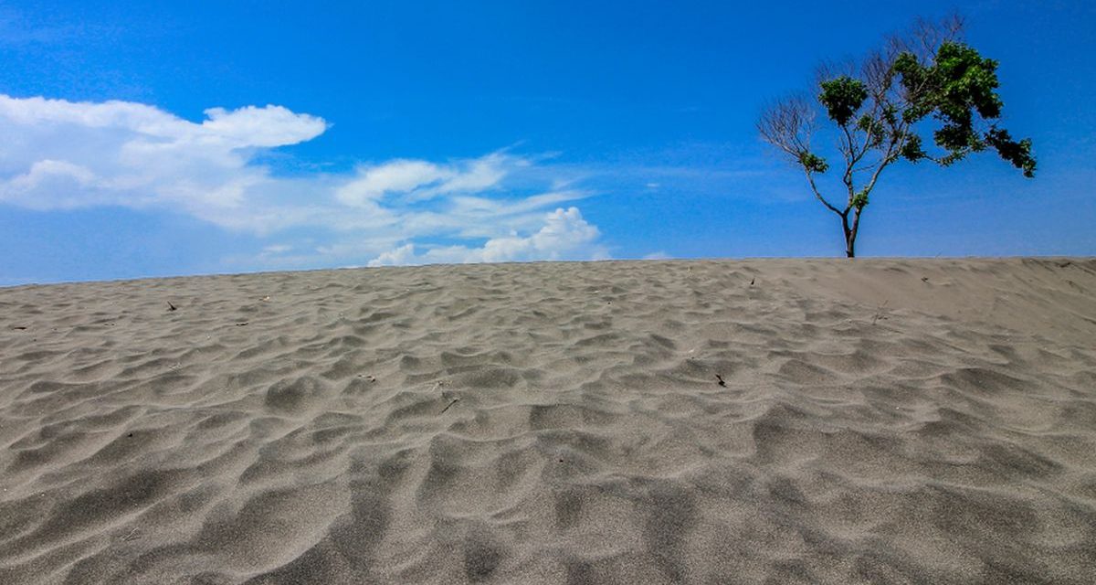Gumuk Pasir Barchan Jawa Selatan Jadi Sorotan Peneliti Geologi