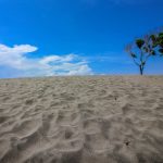 Gumuk Pasir Barchan Jawa Selatan Jadi Sorotan Peneliti Geologi
