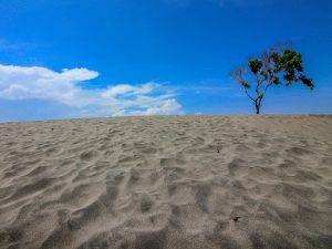 Gumuk Pasir Barchan Jawa Selatan Jadi Sorotan Peneliti Geologi