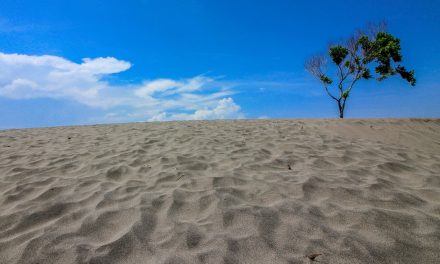 Gumuk Pasir Barchan Jawa Selatan Jadi Sorotan Peneliti Geologi