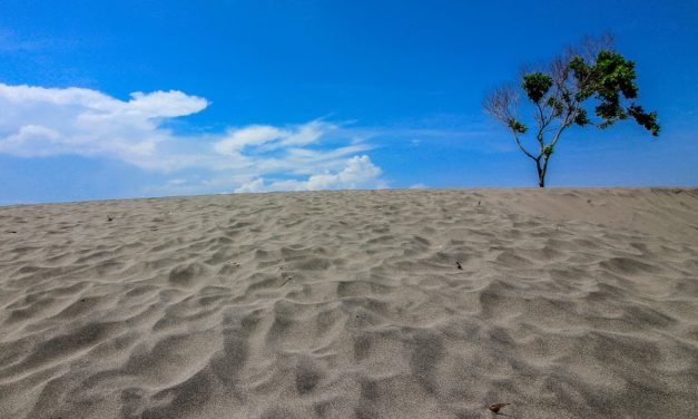 Gumuk Pasir Barchan Jawa Selatan Jadi Sorotan Peneliti Geologi